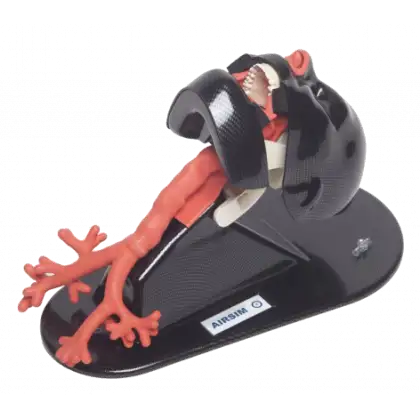 Simulateur d'intubation TruCorp AirSim