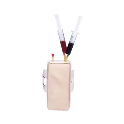Simulateur de ponction veineuse 3B Scientific