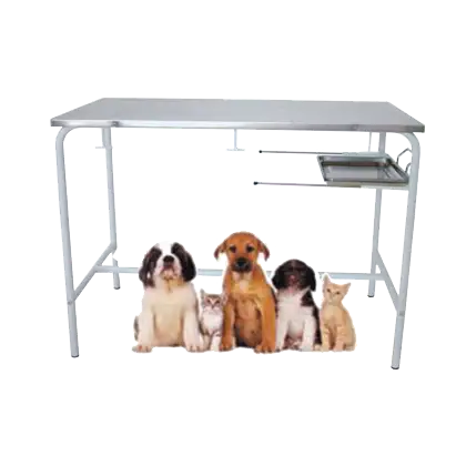 Table d'examen vétérinaire fixe