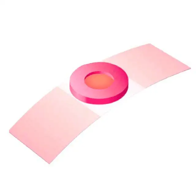 Pansements pour Cors avec Acide Salicylique | 10 Unités