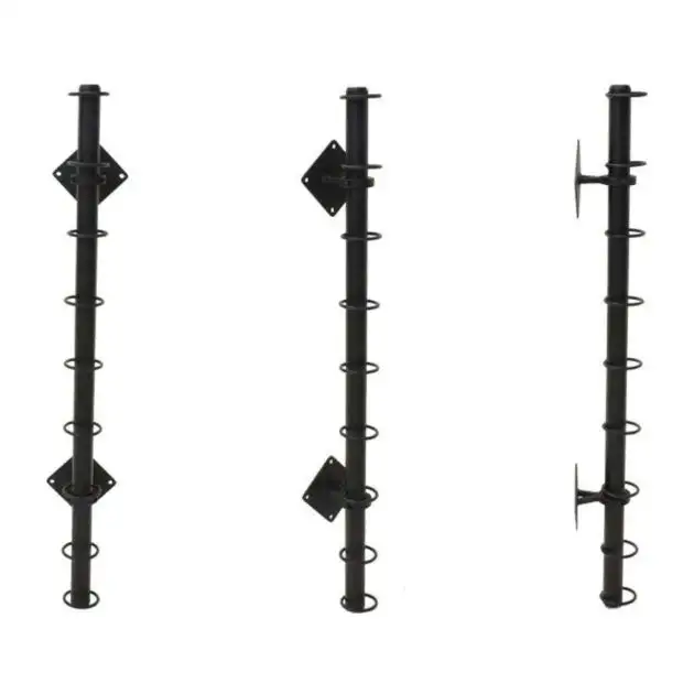 La Colonne Vertébrale 1,22 m