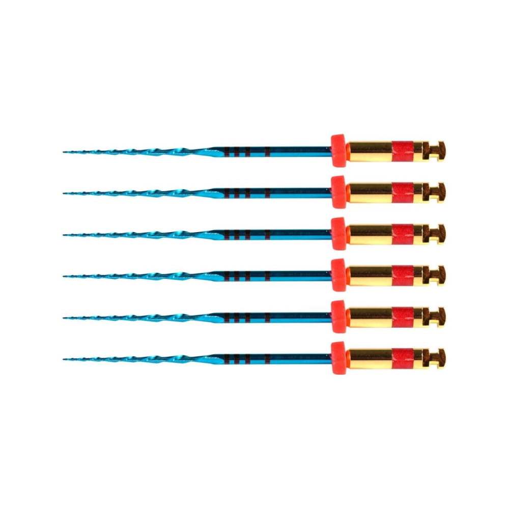 PoloDent RCP Blue limes 31 mm R25 6 pcs