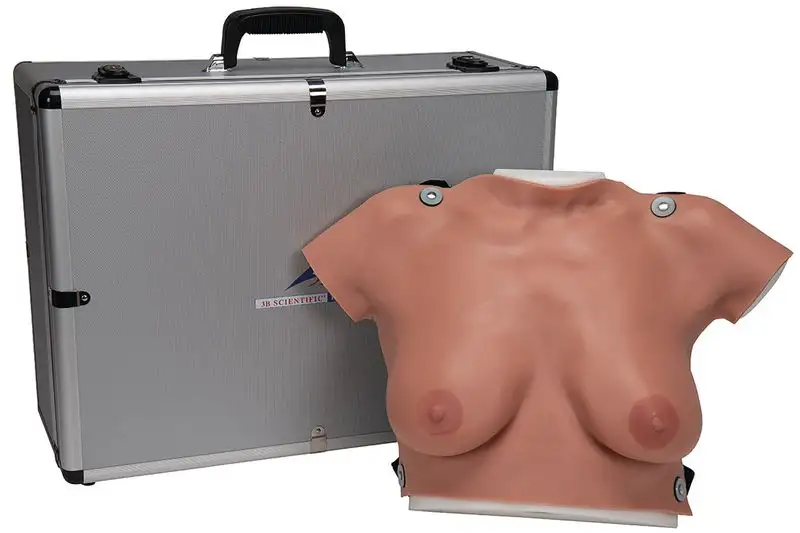 Modèle anatomique de palpation mammaire