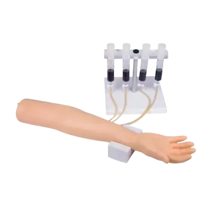 Bras d'entraînement pour injection intraveineuse et perfusion Erler Zimmer