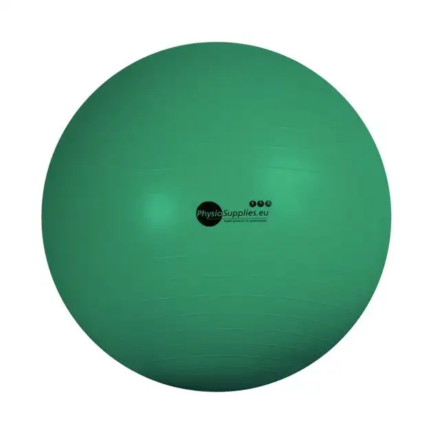 PHYSIO Fitball GO 65 cm – Vert