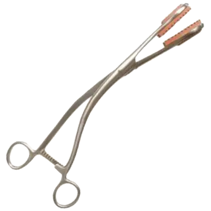 Pince césarienne en inox - Usage vétérinaire