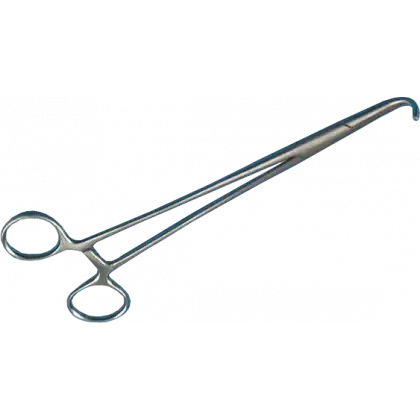 Pince Négus en inox - 19 cm