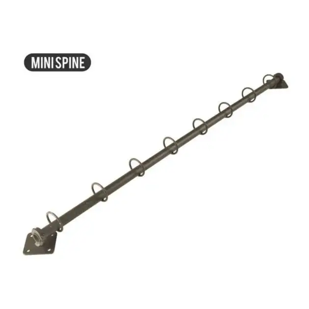 MINI Colonne Vertébrale